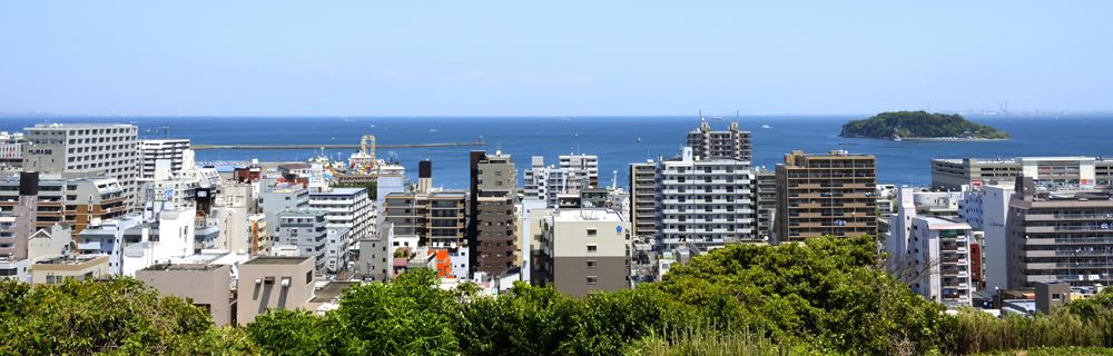 横須賀・三浦地域